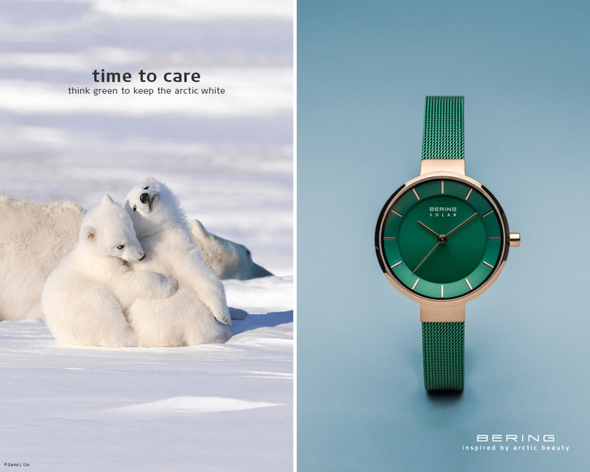 Bering Charity 2020: Myslete zeleně, aby Arktida zůstala bílá