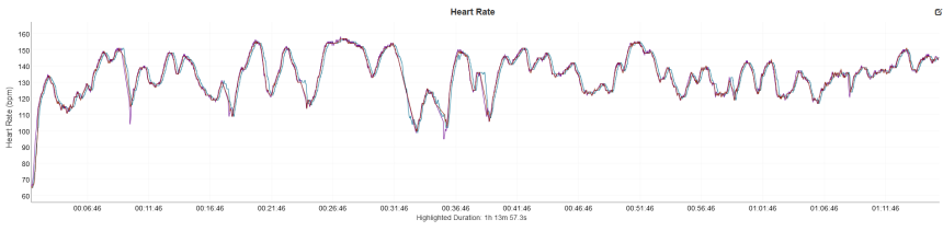 Fialová – refennce (Polar H10), modrá – Polar Verity Sense, hnědá – Coros HR Monitor